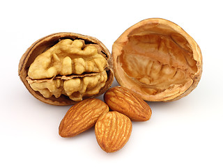 Image showing Walnuts with almonds