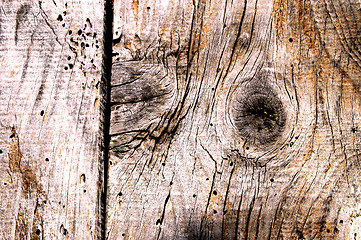 Image showing  wood texture