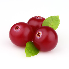 Image showing Cowberry with mint