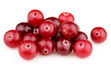 Image showing Fresh cranberry