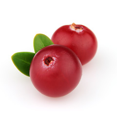 Image showing Fresh cranberry with leaves