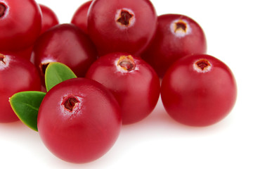 Image showing Cranberry 