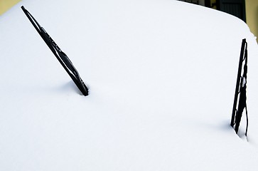 Image showing Car hidden in snow