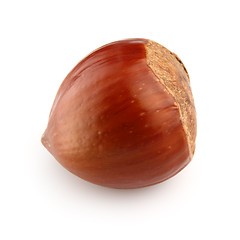Image showing One hazelnut