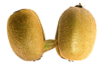 Image showing kiwifruit