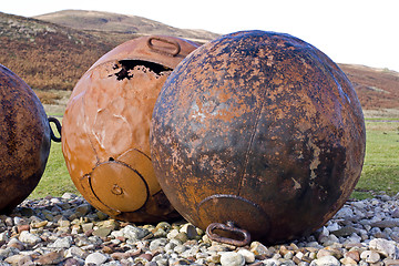 Image showing big balls at scottish coast