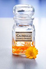 Image showing Calenudla Officinalis plant extract