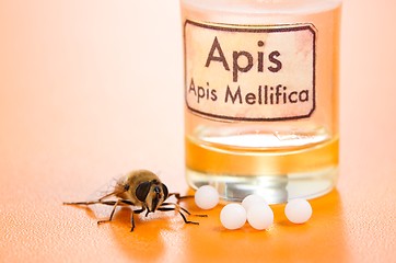 Image showing Apis Mellifica homeopathic pills, poison and bee