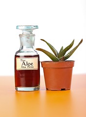 Image showing Aloe Ferrox plant and extract in bottle