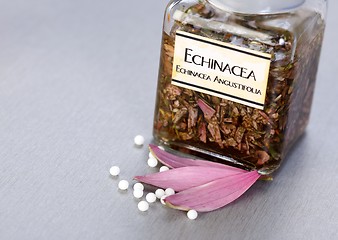 Image showing Echinacea Officinalis plant extract