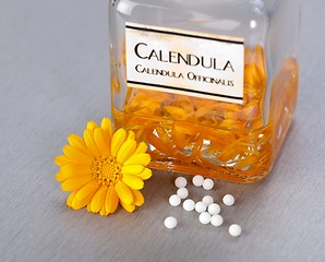 Image showing Calenudla Officinalis plant extract