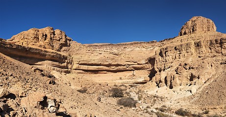 Image showing Wall of the desert canyon