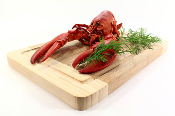 Image showing lobster