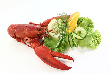 Image showing lobster