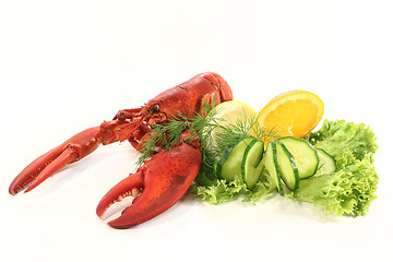 Image showing lobster