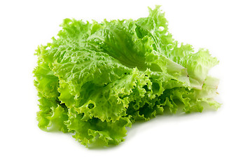 Image showing green salad leaf 