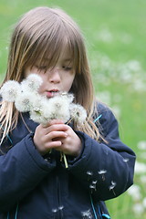 Image showing blond girl