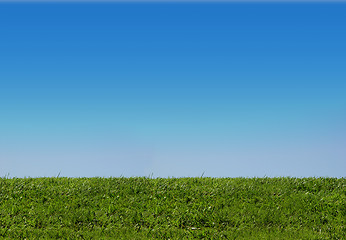 Image showing Background of blue sky and grass