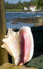 Image showing sea shell hotel in background Corn Island Nicaragua