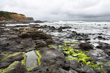 Image showing New Zealand - Curio Bay