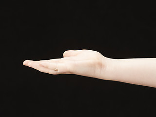 Image showing Childs hand with palm facing up