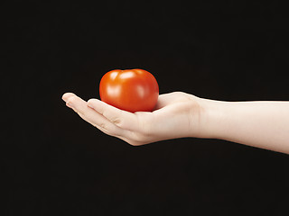 Image showing Childs hand with tomatoe and palm facing up