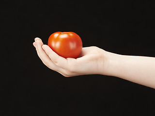 Image showing Childs hand with tomatoe and palm facing up