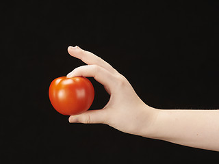 Image showing Childs hand with tomatoe