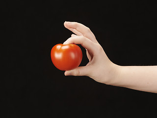 Image showing Childs hand with tomatoe