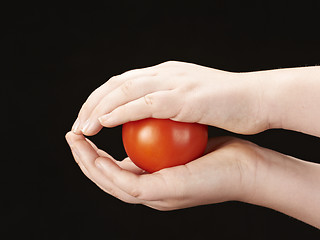 Image showing Tomatoe sandwiched between childs hands