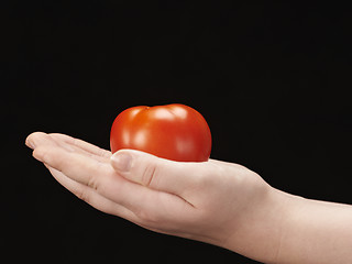 Image showing Tomatoe in the hands of child - palms facing up