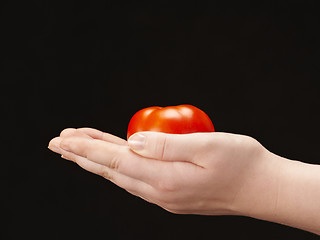 Image showing Tomatoe in the hands of child - palms facing up