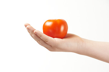 Image showing Childs hand with tomatoe and palm facing up