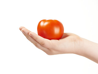 Image showing Childs hand with tomatoe and palm facing up