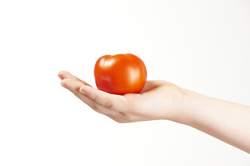 Image showing Childs hand with tomatoe and palm facing up