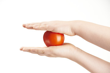 Image showing Tomatoe sandwiched between childs hands