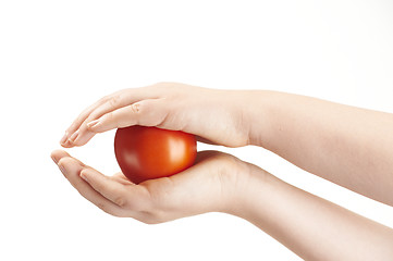 Image showing Tomatoe sandwiched between childs hands