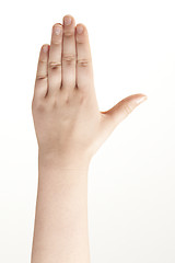 Image showing Back of childs hand