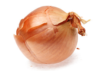 Image showing Onion