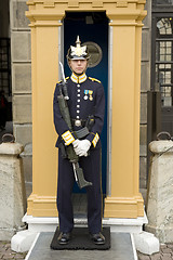 Image showing Sweden Royal guards