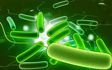 Image showing coli bacteria	