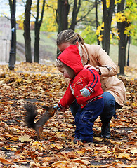 Image showing Little boy feeds a squirrel