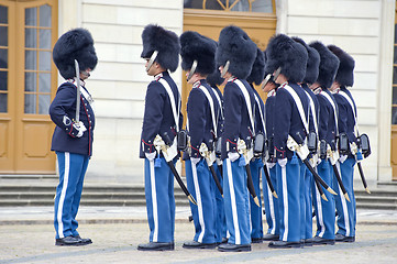 Image showing Denmark Royal guard
