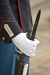 Image showing Denmark Royal guard