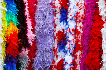 Image showing Carnival feathers