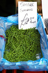 Image showing Sea weed