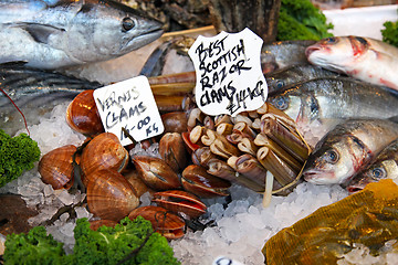 Image showing Fresh seafood