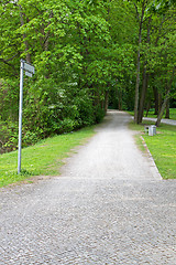 Image showing Walking path