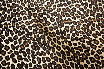 Image showing Leopard pattern