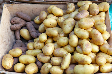 Image showing Potato